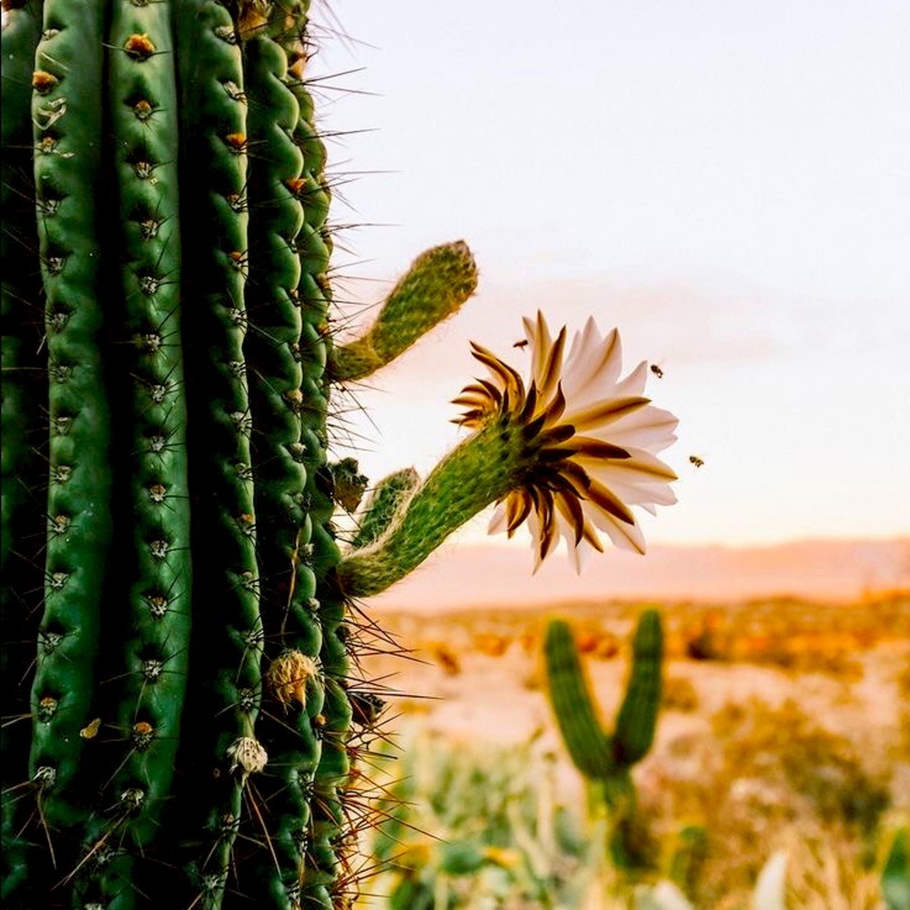 Meet your Posher, Tasha